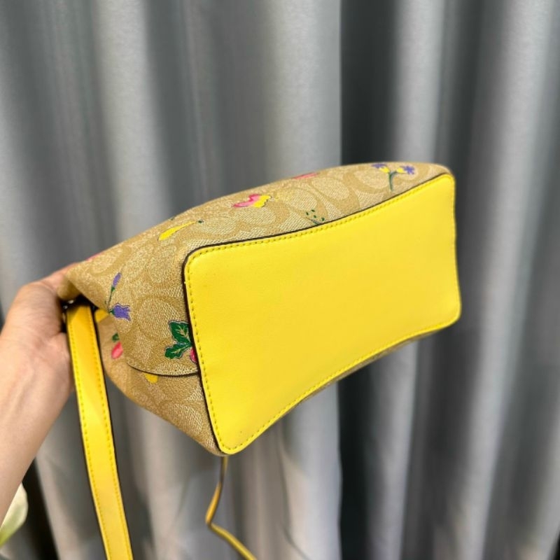 Túi Town Bucket Bag With Dandelion Floral Print