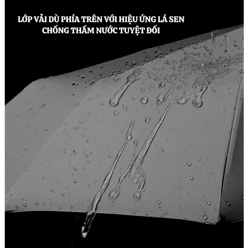 Ô Dù NAMIKO Dù Che Mưa Tự Động Đóng Mở 60 Nan Thép Chống Gỉ Cao Cấp