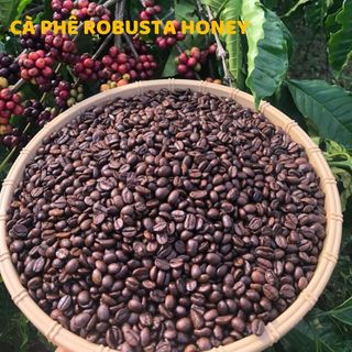 Cà phê hạt rang mộc nguyên chất 100% Robusta BMT