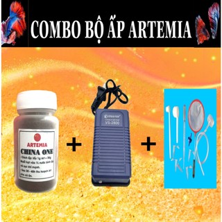Combo bộ ấp artemia - trứng artemia, thức ăn dành cho cá mới đẻ, cá con...