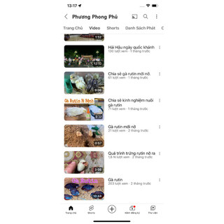 Trứng Gà Rutin