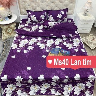 Bộ  Ga Gối Mùa Thu 2023