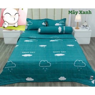 Bộ Ga Gối Mùa Thu 2023