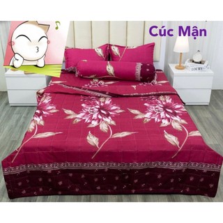 Bộ Ga Gối Mùa Thu 2023