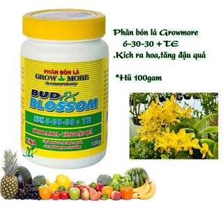 Phân Bón Lá 6-30-30 Growmore Kích Hoa – Phát Triển Bộ Rễ,hũ 100gam