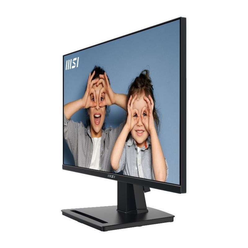 Màn hình máy tính MSI PRO MP251 | FHD (1920 x 1080) / IPS / 100Hz / 1ms / HDMI / D-Sub - Hàng Chính Hãng | BigBuy360 - bigbuy360.vn