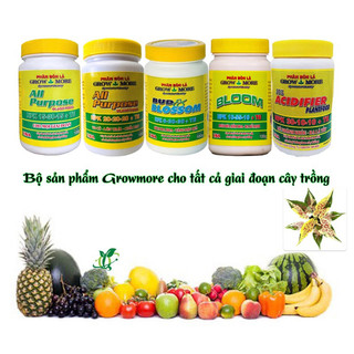 Phân bón lá growmore cho tất cả các giai đoạn phát triển của cây,hũ 100gr.