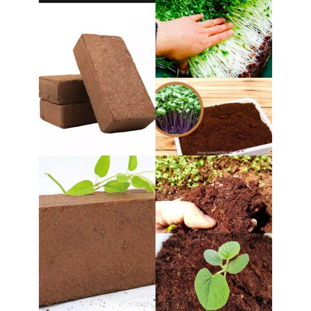 Sỉ Xơ dừa nén mụn đất hữu cơ 500g vi sinh dinh dưỡng
