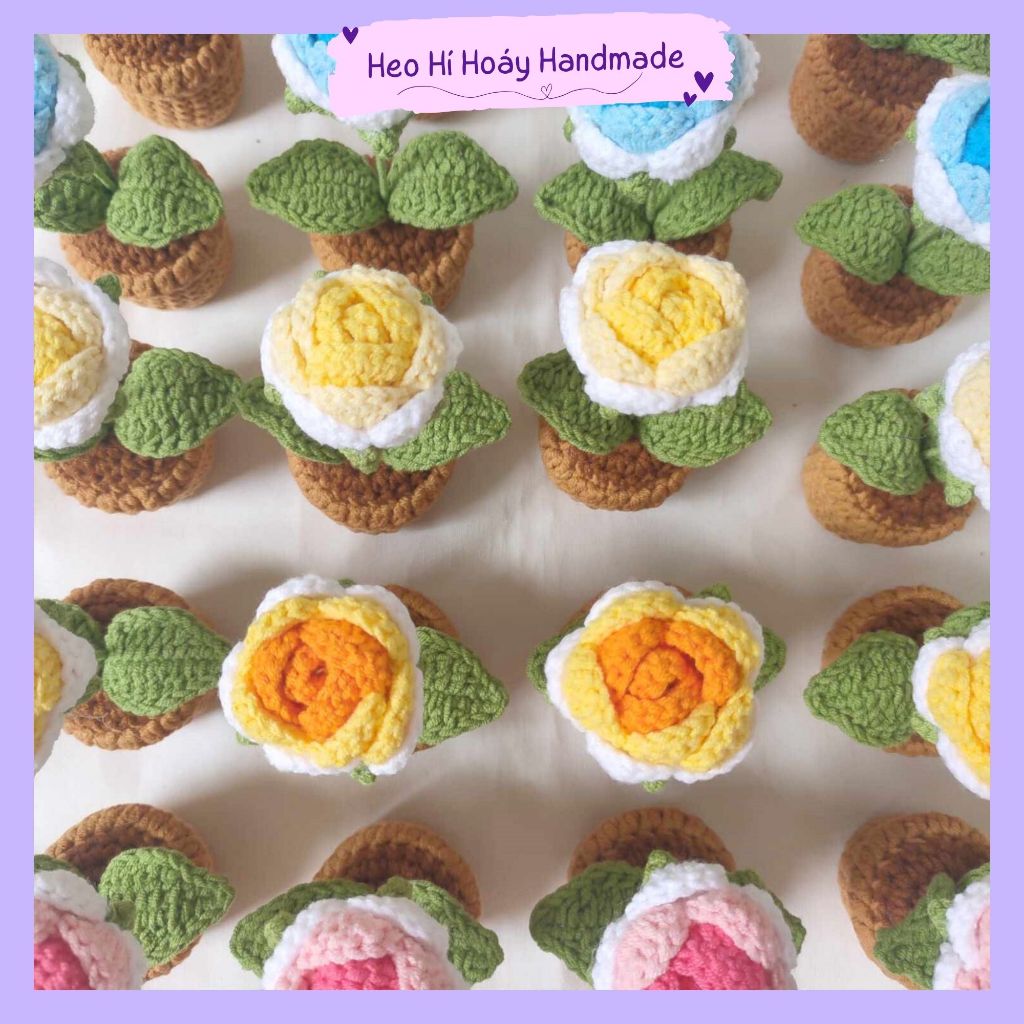 Chậu hoa hồng mini bằng len by Heo Hí Hoáy