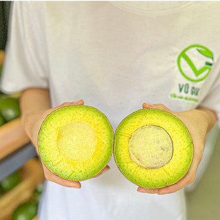VG FARM  Bơ Bơ Booth Lâm Đồng - Trái già hái trực tiếp tại vườn không lo hoá chất - Cơm vàng,