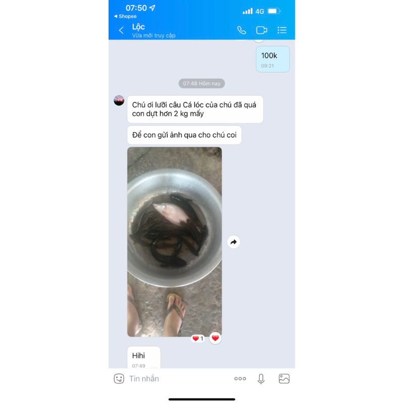 Lưỡi Câu Cá Lóc _ Mẫu Rùa _ Thép Lò Xo