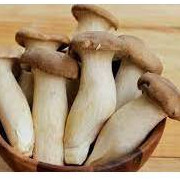 Nấm đùi gà tươi 500gr