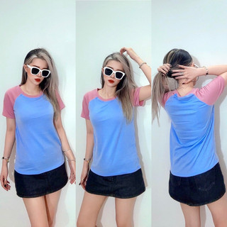 áo tay raglan phối 4 màu vnxk