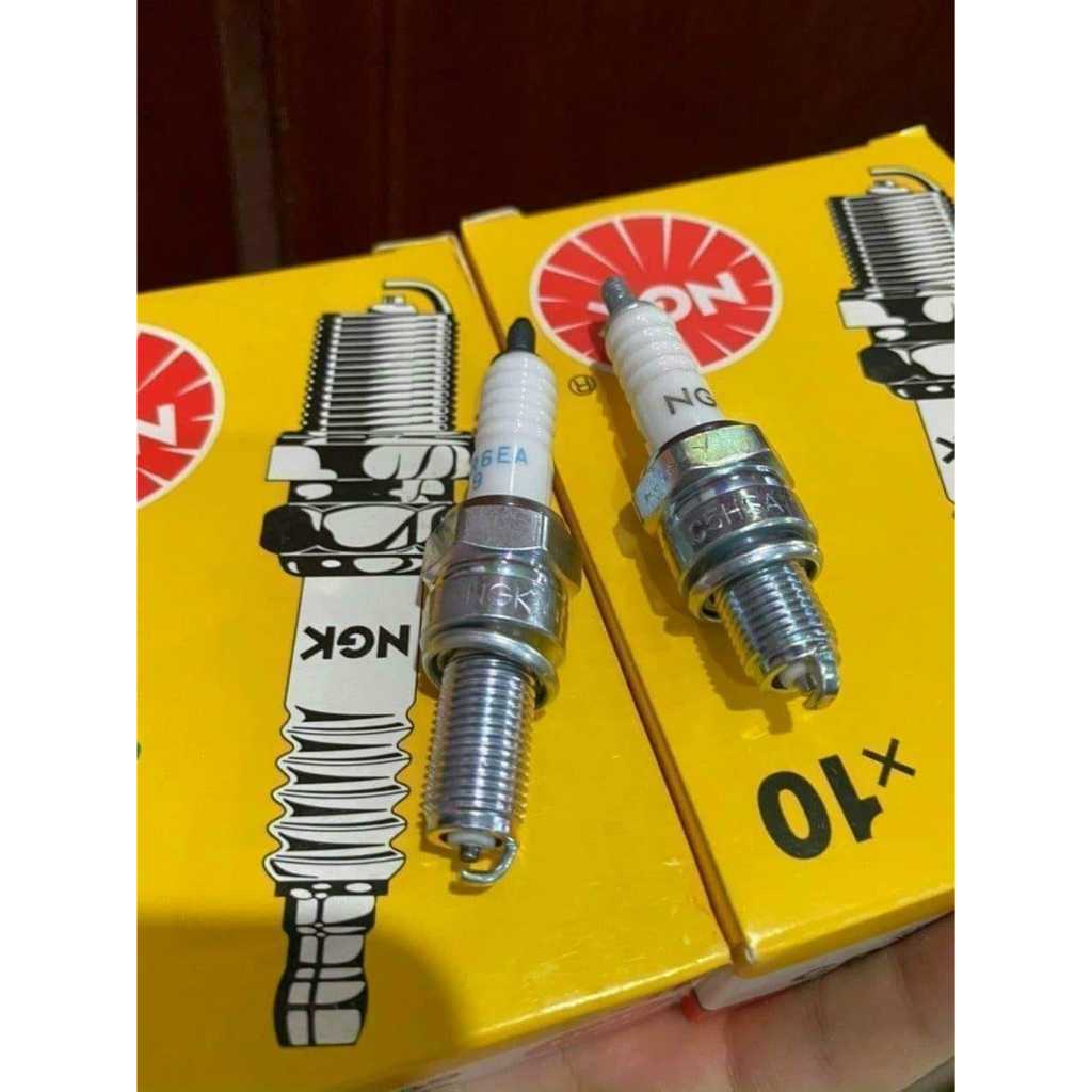 BUGI NGK Chân Ngắn - Chân Dài