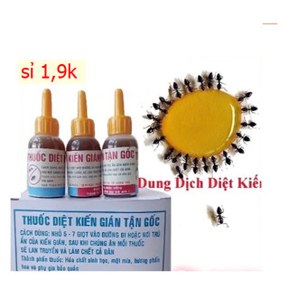 Lọ dung dịch Diệt kiến , Gián