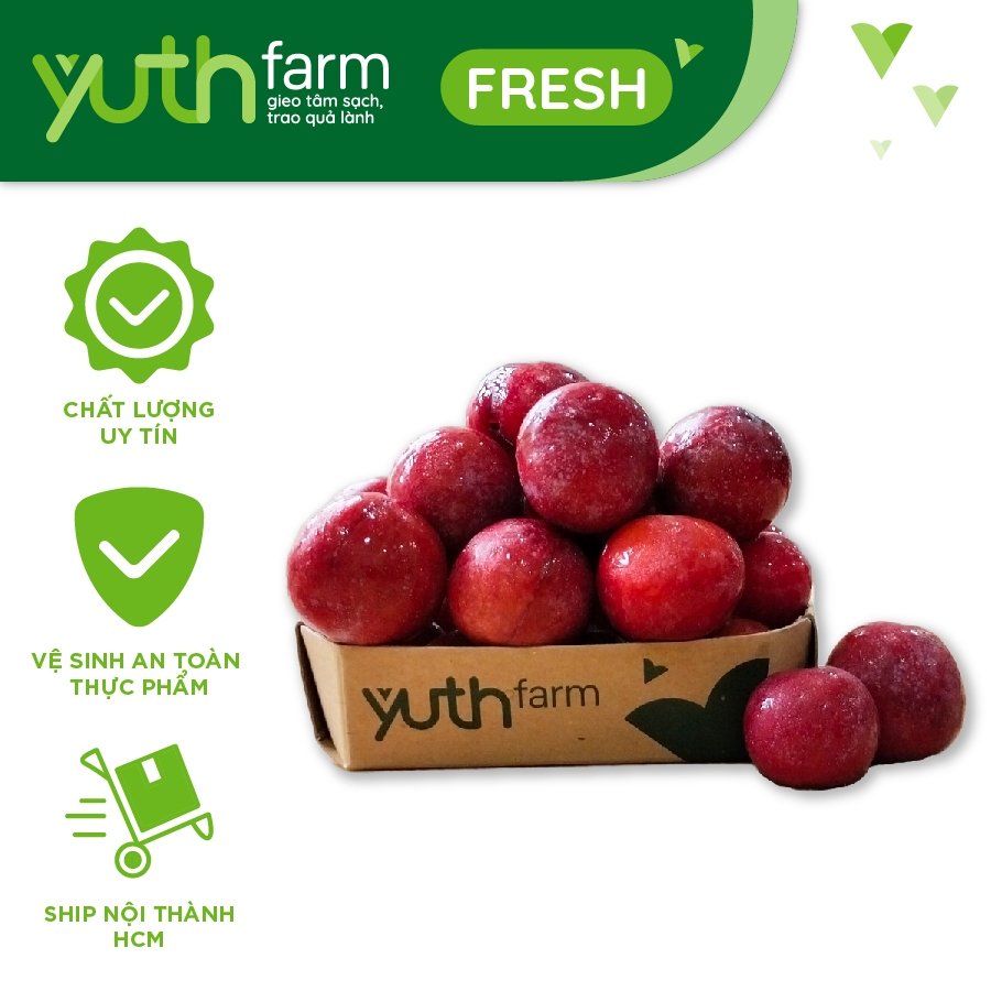 [Hỏa tốc: Chỉ HCM] Mận róc (Mận cơm) Yuthfarm (500g/hộp)