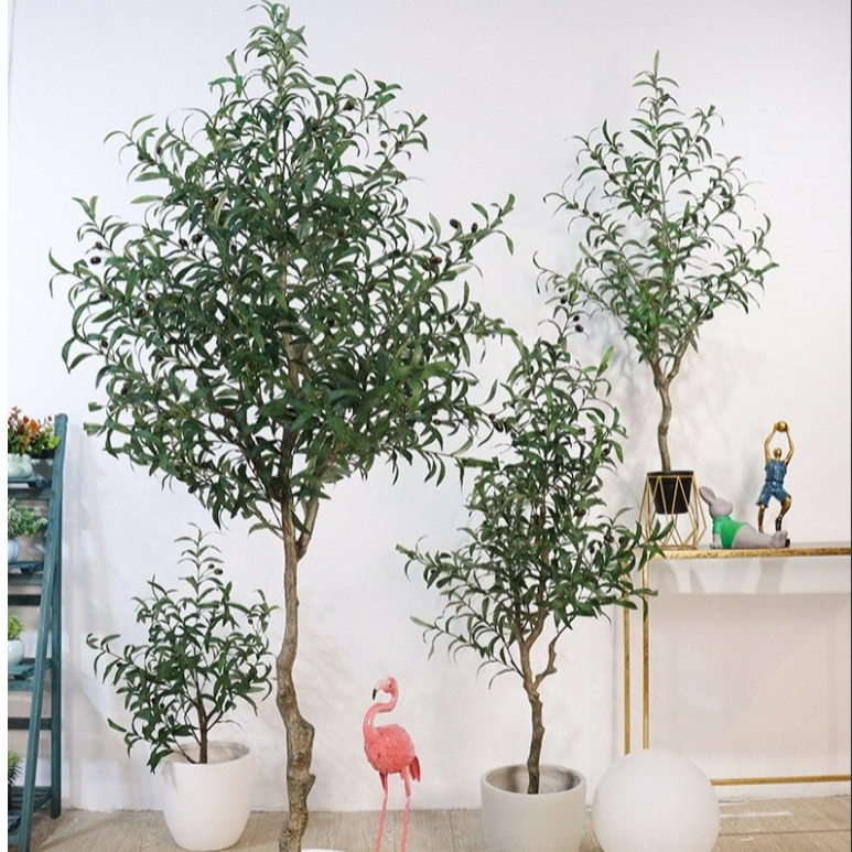 Cây Oliu, ô Liu giả decor trang trí decor phòng khách, nhà hàng 100cm -130cm