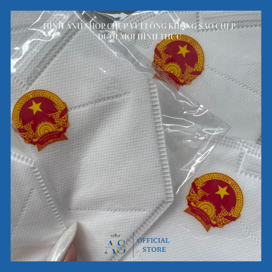 Khẩu Trang Y Tế N95 in Logo