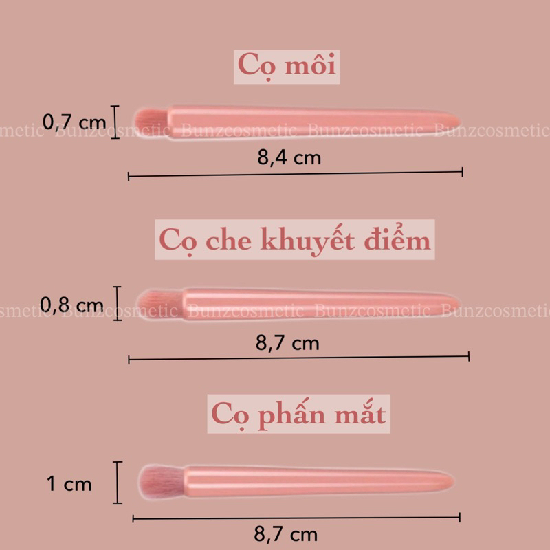 Hộp cọ trang điểm mini 5 cây kèm gương