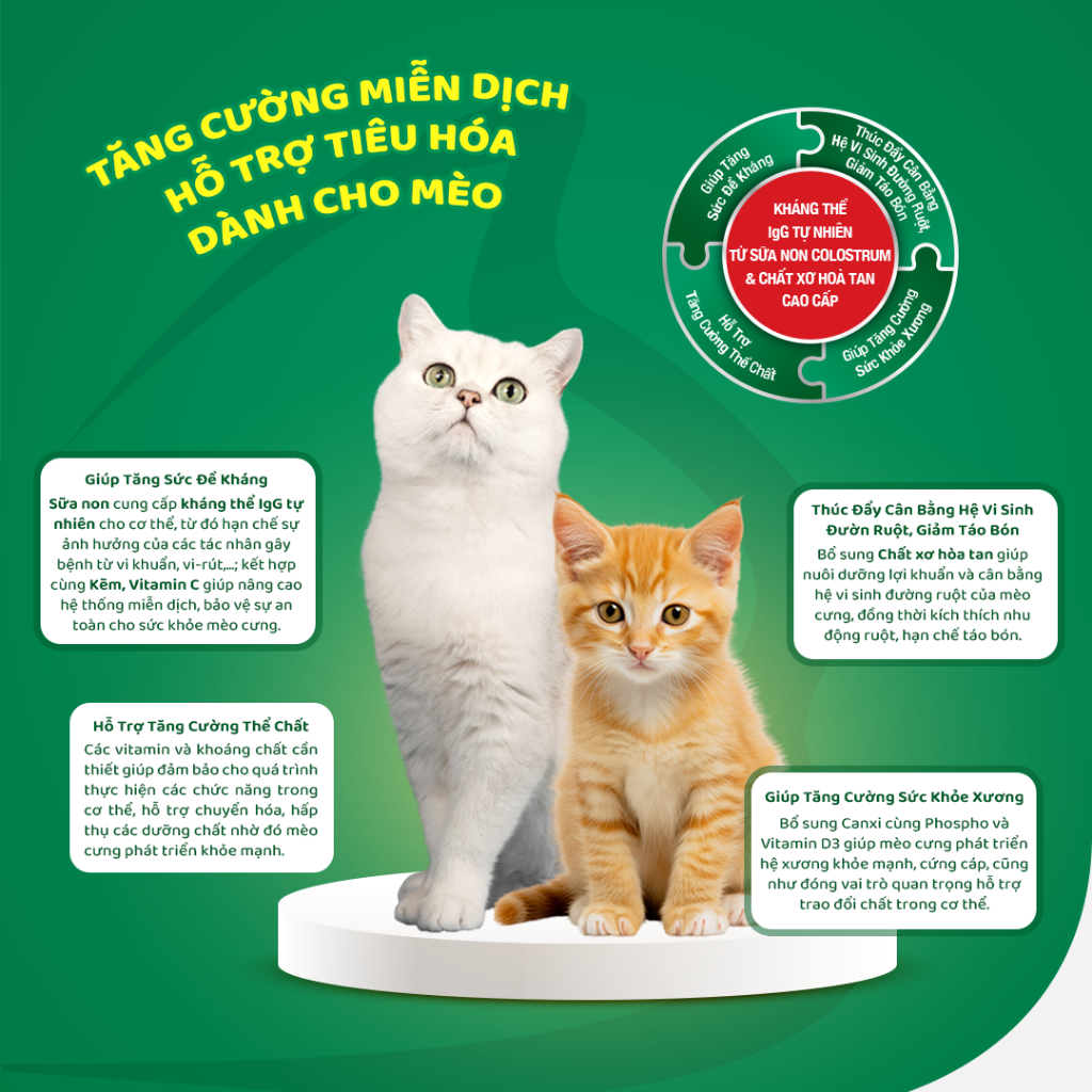 Dr.Kyan - Sữa bột dinh dưỡng PETILAC - Bổ sung sữa non Colostrum & Chất xơ cao cấp cho mèo 100g