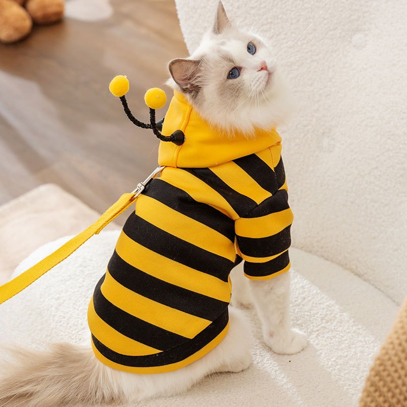Áo Hoodle có nón hình vịt vàng, gấu nâu, chú ong dành cho chó mèo