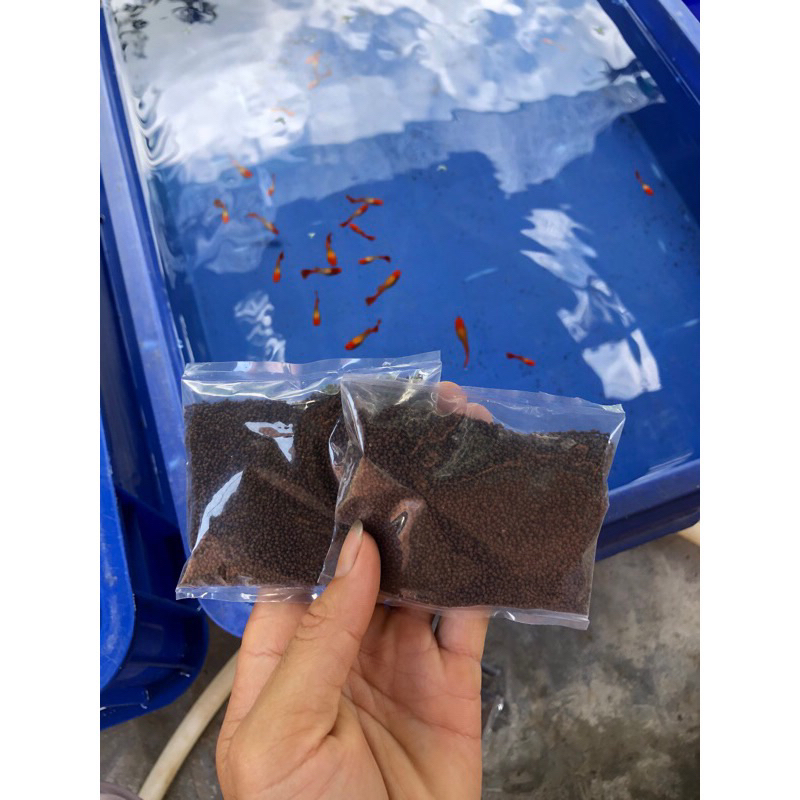 10g thức ăn guppy + k-o.i gen