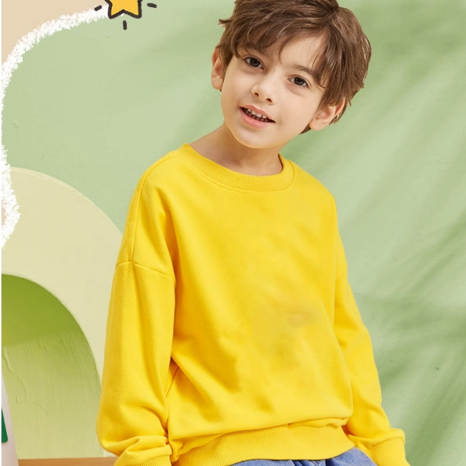 Áo sweater cho bé trai bé gái BabyloveGO 2024 áo dài tay thu đông mềm mịn AN005