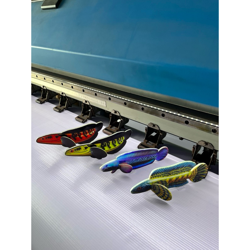 Cá nhựa kè lóc xung