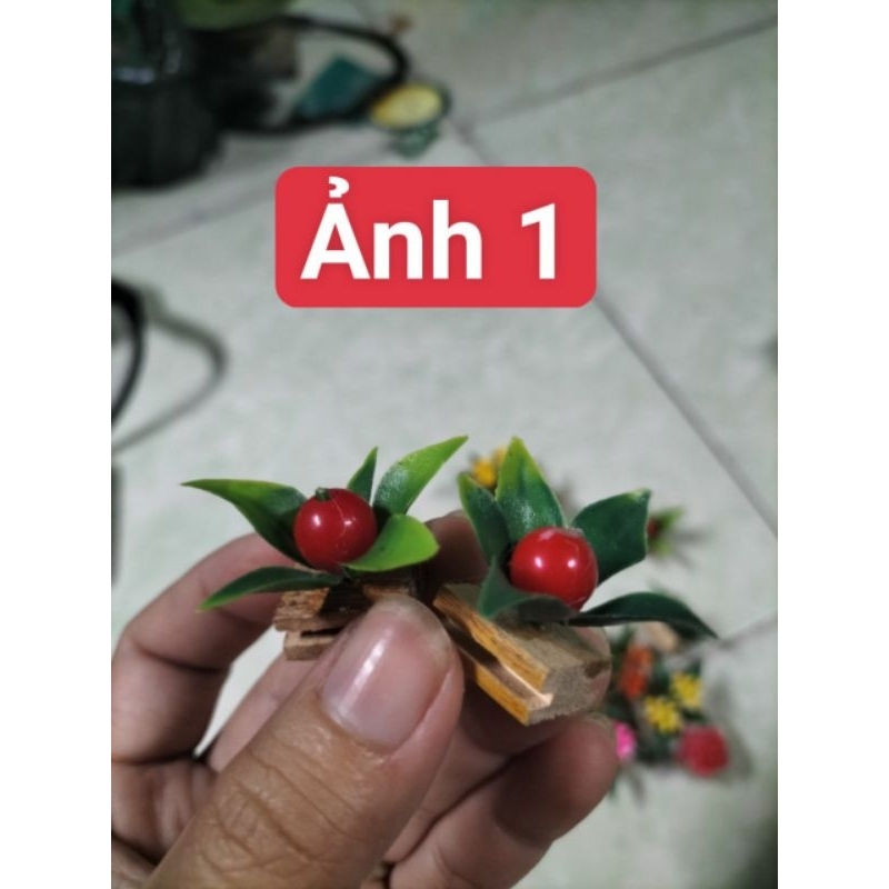 1 cặp trái giả gắn lồng bẫy có đế gài