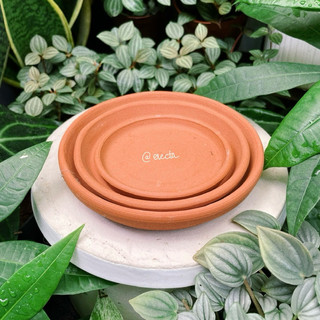 Dĩa lót chậu đất nung - Dĩa lót màu đỏ đất nung