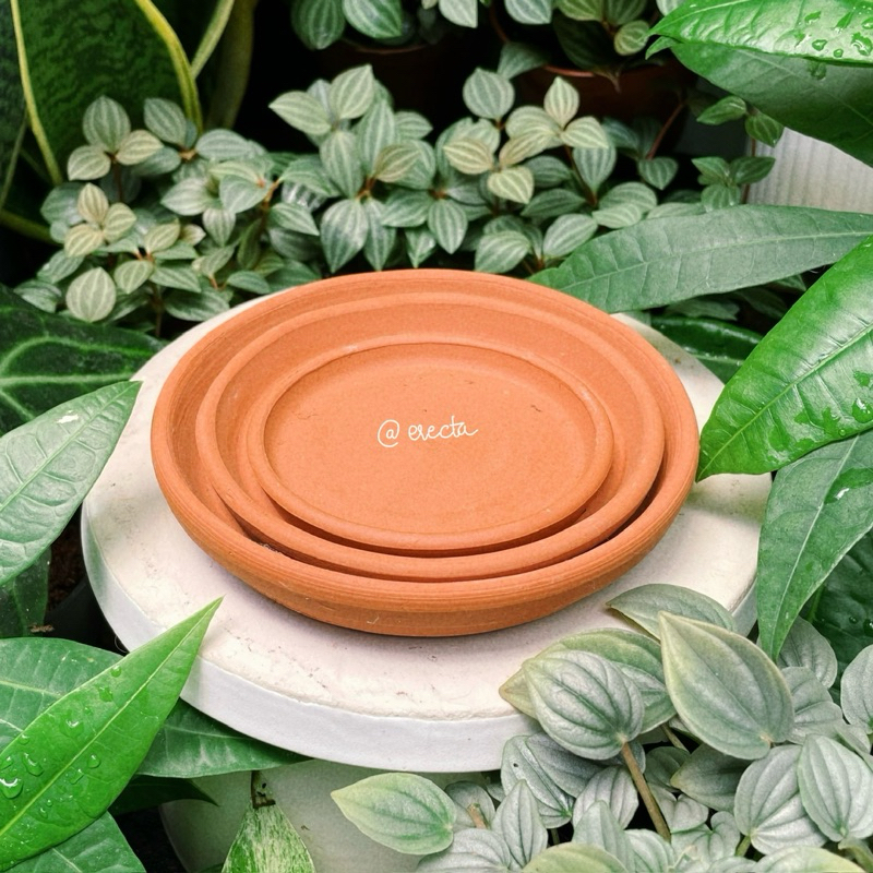 Dĩa lót chậu đất nung - Dĩa lót màu đỏ đất nung
