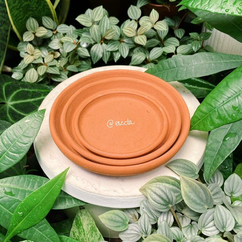Dĩa lót chậu đất nung - Dĩa lót màu đỏ đất nung