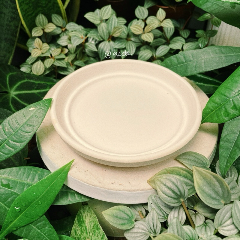 Dĩa lót chậu đất nung trắng - Dĩa lót màu trắng đất nung