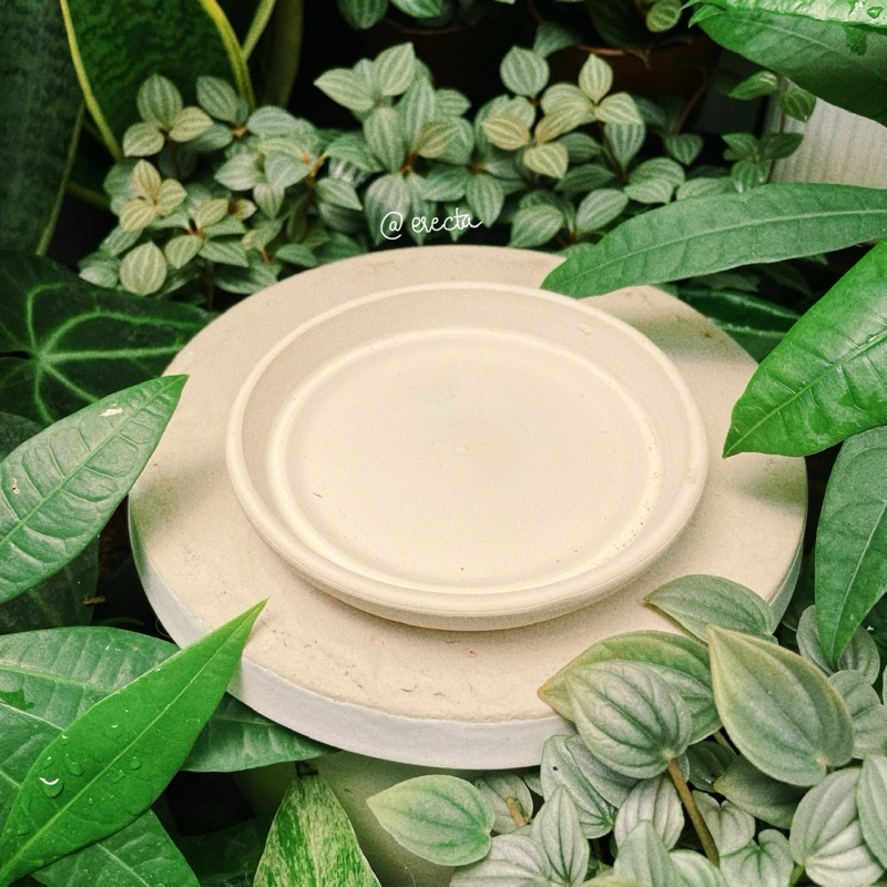 Dĩa lót chậu đất nung trắng - Dĩa lót màu trắng đất nung