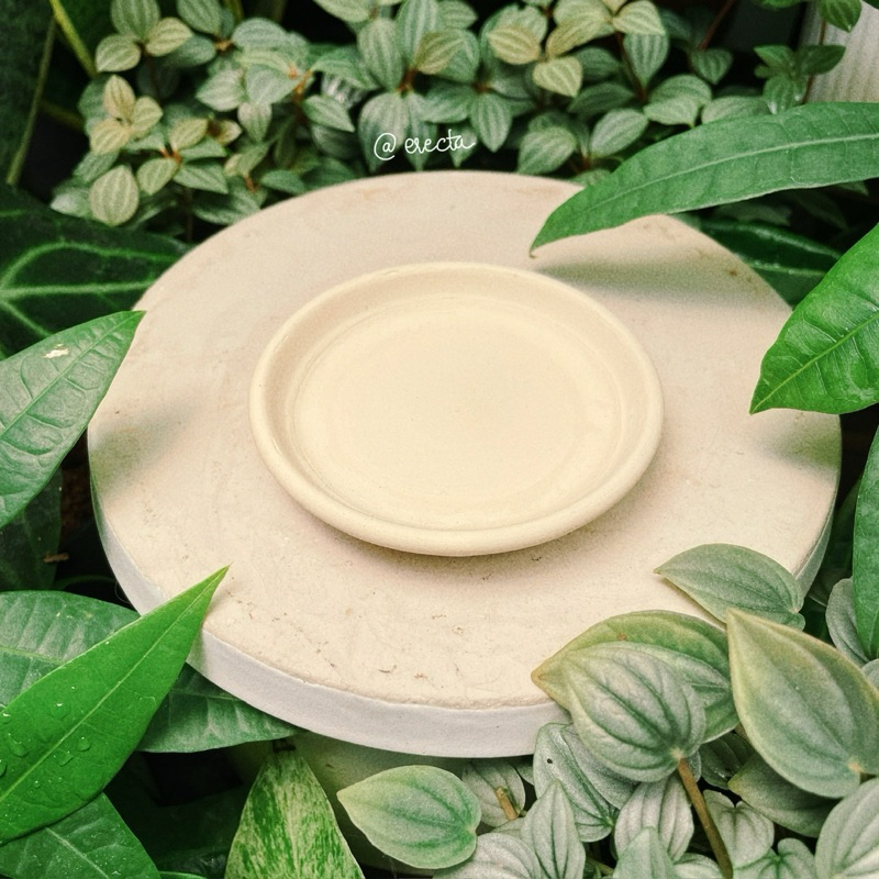 Dĩa lót chậu đất nung trắng - Dĩa lót màu trắng đất nung