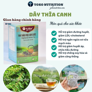 Trà thảo mộc sơn cước dây thìa canh yoko nutrition hỗ trợ chữa tiểu đường
