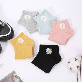 Combo 10 Đôi Tất gấu cổ ngắn nhiều màu