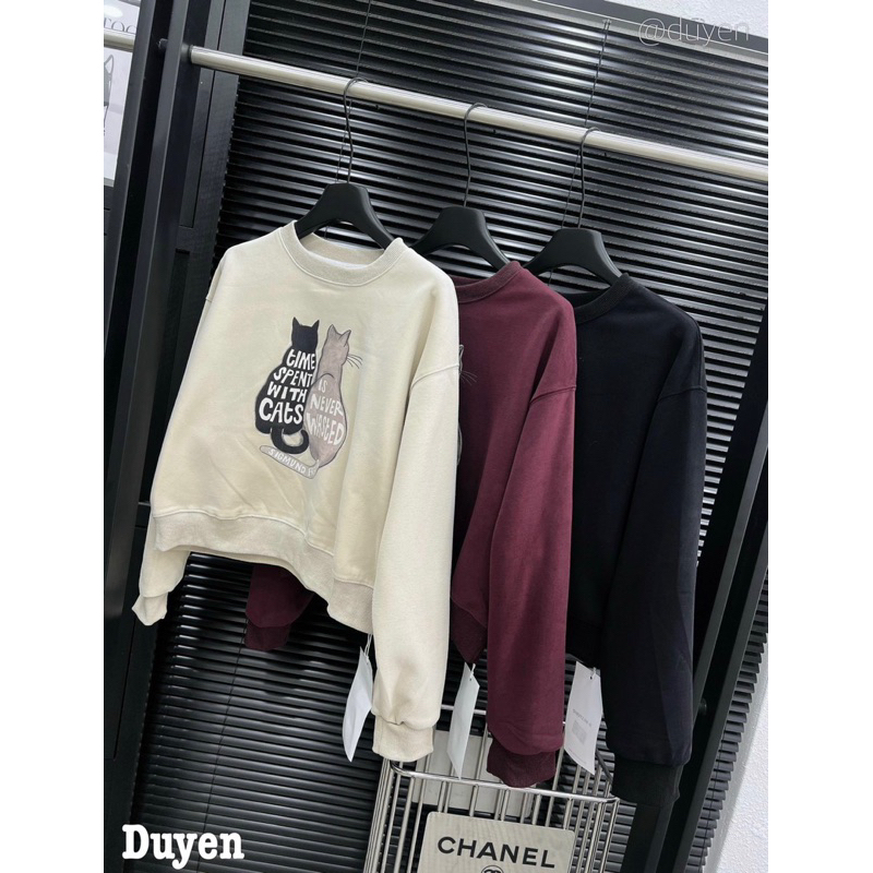 Nỉ hình QC, bảng màu dễ mặc lun ạ