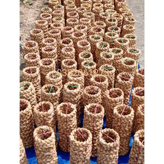 ĐẾ LỤC BÌNH CHƯNG DỪA (giá 1 cái)