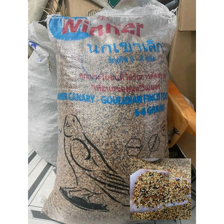 2kg Cỏ Thái Chuẩn Winer Cho Cu Gáy Sung Sức Hàng Thái Lan