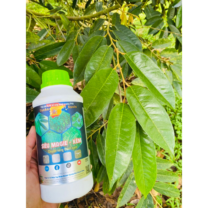 Siêu magie kẽm - 500ml Biến vàng thành xanh