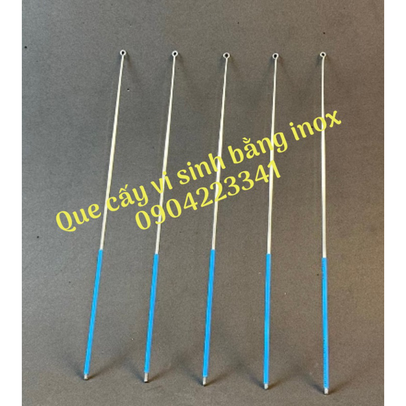 Que cấy vi sinh bằng Inox chịu nhiệt