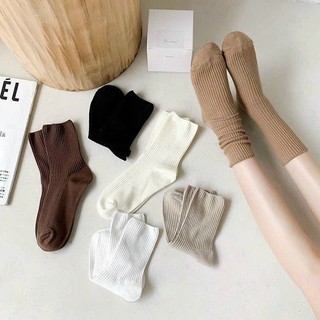 Tất cổ cao nữ hàn quốc gân trơn basic , vớ cao cổ nữ hàn quốc gân trơn nhiều màu