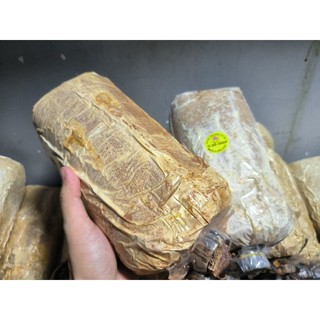 Phôi thải đã ra nấm.
