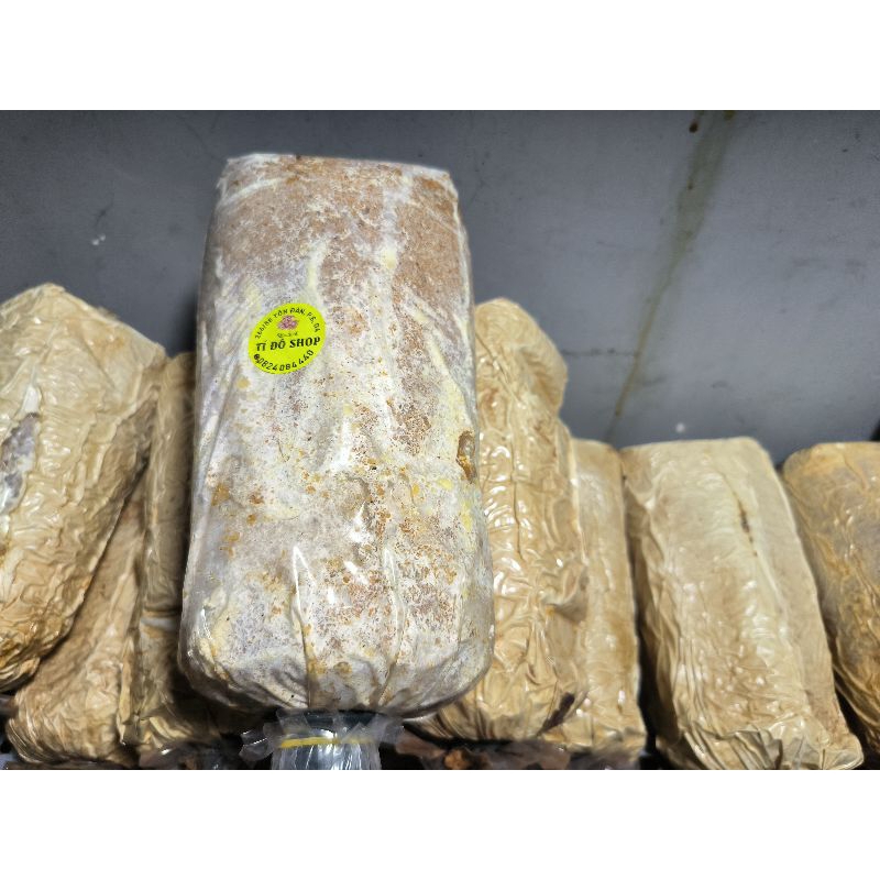 Phôi thải nấm Linh Chi đỏ đã ra nấm.