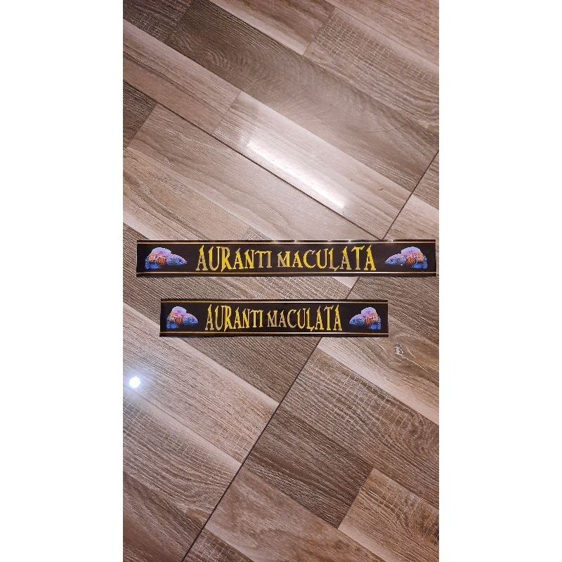 Decal trang trí hồ lóc