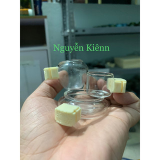 Cóng chim hút mật,khuyên, choè đất, yến