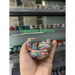 Cóng chim hút mật,khuyên, choè đất, yến