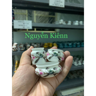Cóng chim hút mật,khuyên, choè đất, yến