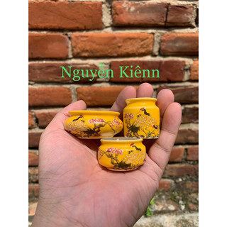 Cóng chim hút mật, khuyên, ốc mít, sâu